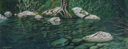 Silenziose trasparenze 